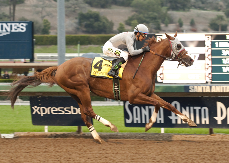 Perfect ride. Скачки читать. Гейл Гриффин. 2014 Year of Horse. De Leon California Race.